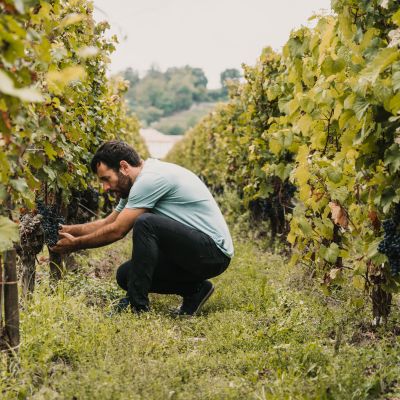 Enchanting Travels France Tours Panoramic view of Nice harbour with blue sky, France