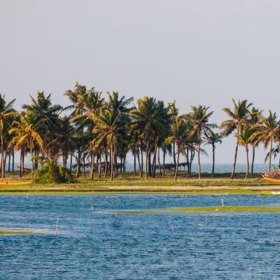 Fishermen Catching Fish at Chennai Buckingham Canal