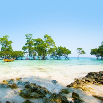 Stunning beach at Havelock Island in the Andamans