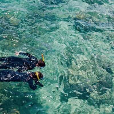 Snorkelers, Great Barrier Reef, Australia