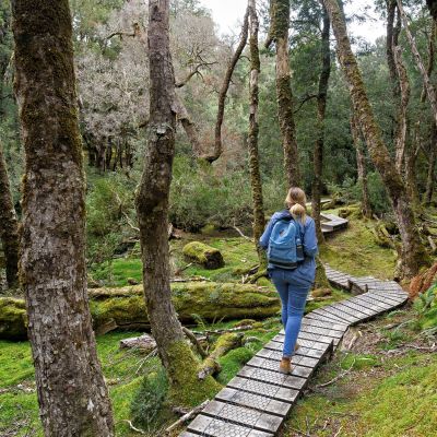 Cradle Mountain National Park, Tasmania, Australia