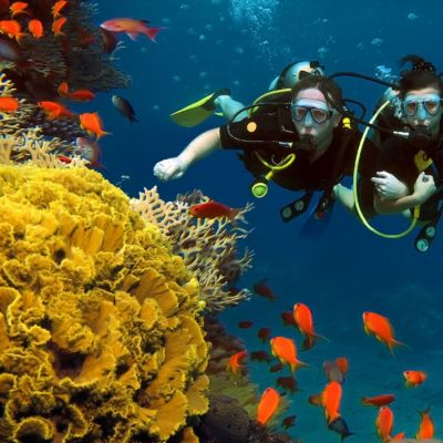 Maldives Scuba Diving Activity