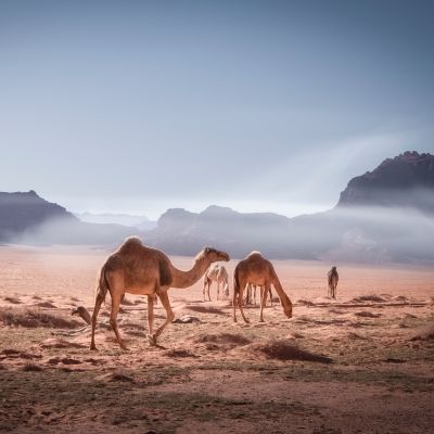 Jordan Wadi Rum