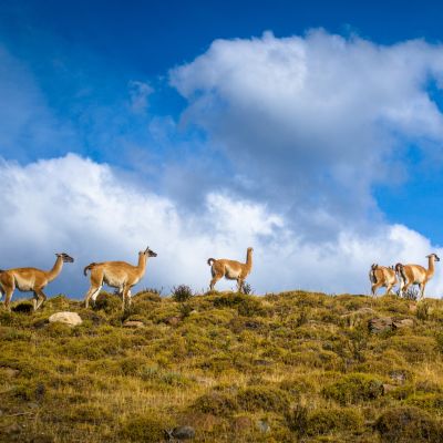 Is Chile safe to visit?