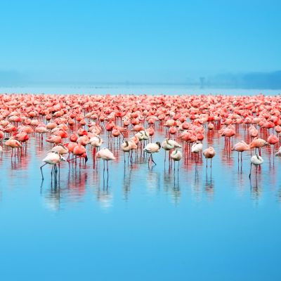 Best Things To Do in Kenya