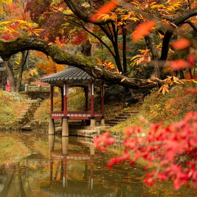 Herbstlicher Blätterwald am Pavillon und See des Changdeokgung Palastes Seoul