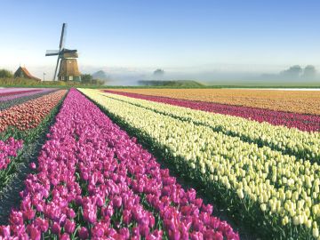 Cycling in the Netherlands