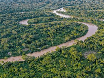 Amazon Rain Forests Peru