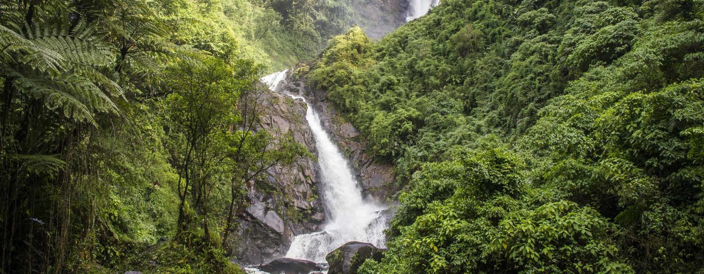 Deer Waterfall