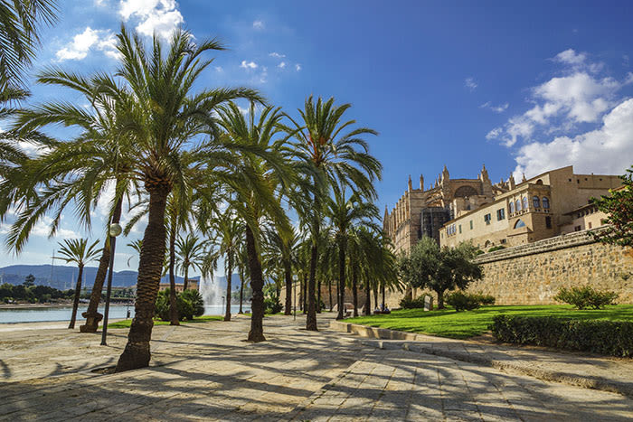 Catedral de Mallorca