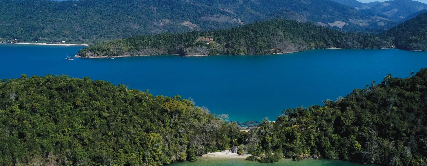 Cotia Island