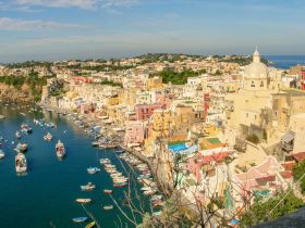 Voir les Guides de Croisière