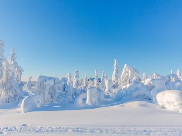 Winter Holidays in Finland