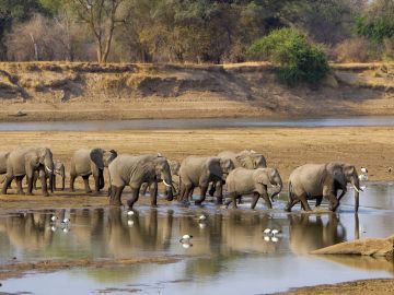 Zambia Safari Holidays