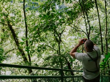 9 Most Beautiful Forests for Hiking