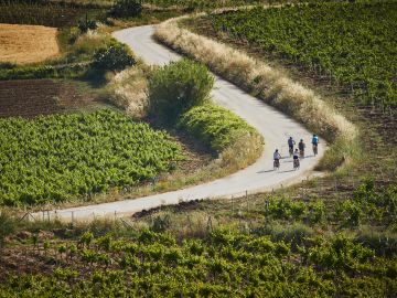 Pedaling from Ports to Pine Forests: 7 Epic Rides Across Europe