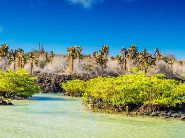 Galapagos Islands