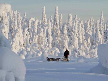 Finnish Wilderness Week Highlights