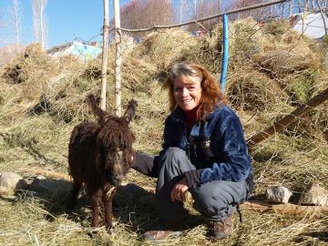 The Donkey Sanctuary at Cannes Film Festival