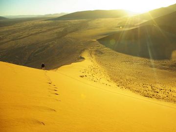 Desert, Dunes & 4W Drives