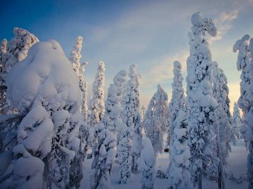 9 Reasons to Visit Basecamp Oulanka in Winter