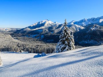 5 Reasons to Book Winter Adventure Holidays