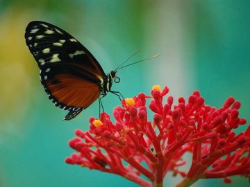 Once in a Lifetime: Costa Rica Family Adventure