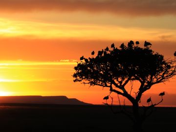 African Natural Beauty