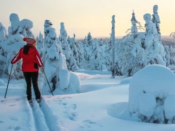 Woman cross country skiing in Lapland Finland in sunset