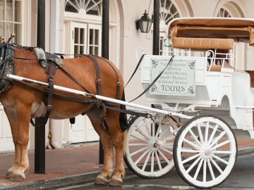 Horse and Cart French quarter, New Orleans