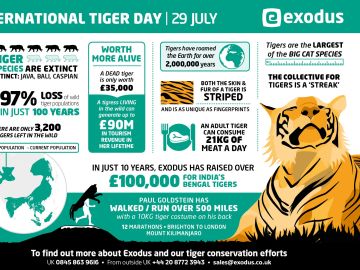 International Tiger Day