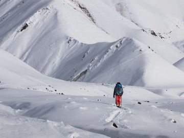 Valerie Parkinson - At Home in the Mountains