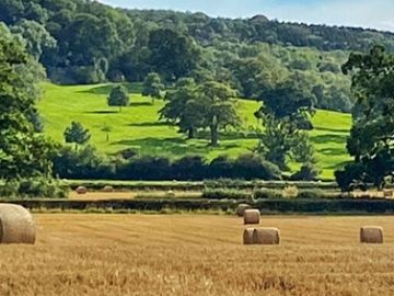 Hay Bales in a Field