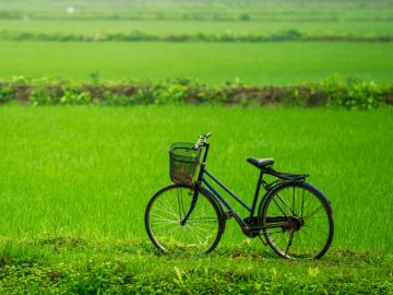 Cycling in Vietnam