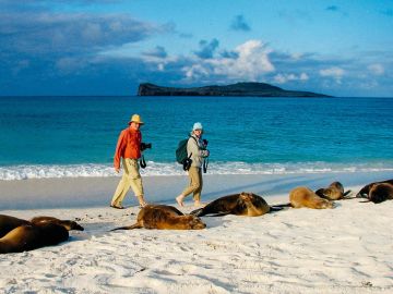 sea lions with guests, Galapagos