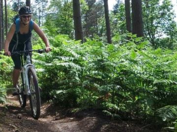 cycling in the forest