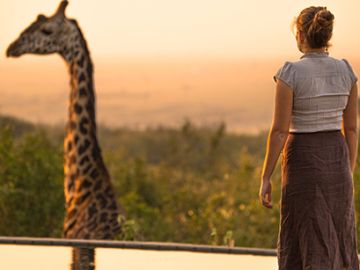Giraffe sunset in Tanzania