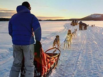arctic dogsledding