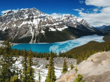 Peyto Lake