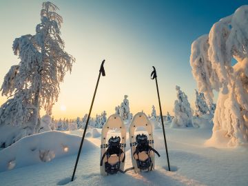 Christmas and New Year Traditions Around the World