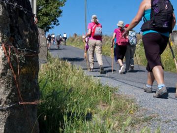 Walking the Camino de Santiago. Camino de Santiago, also known as