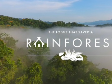 The lodge that saved a rainforest