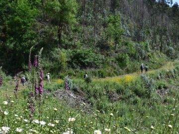 Trekking in the Douro Valley, Portugal