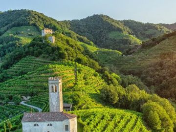 Prosecco Hills Cycling