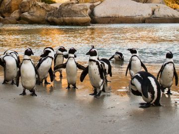 4 Premium Adventures that make the ultimate winter escape 