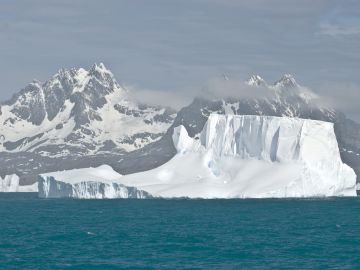 Antartica Cruises