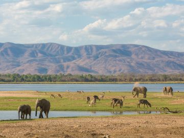 Zimbabwe Tours