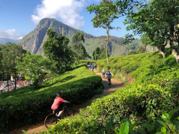 Spring into Cycling Adventures