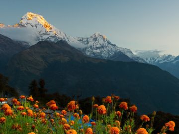 Walking Annapurna Foothills – Privately Guided