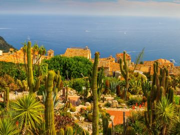 Adventure In Full Bloom – Seven Trips Where You Can Follow The Flower Trails 